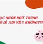 Công Tác Xã Hội Có Dễ Xin Việc Không